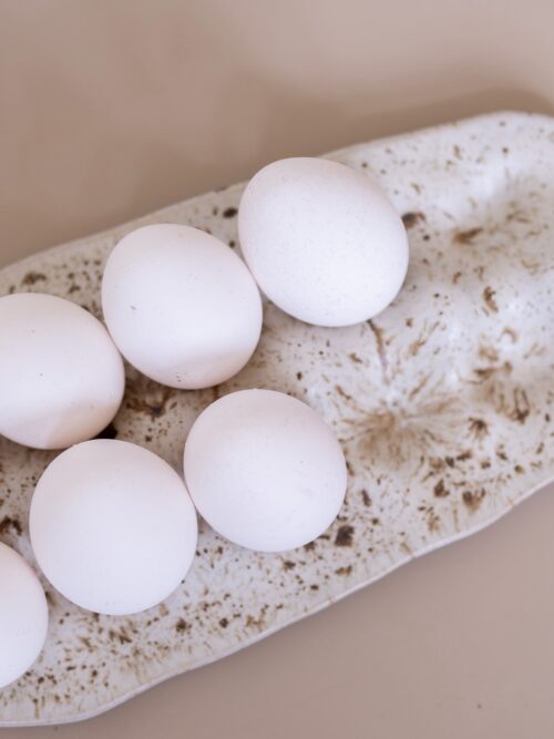 egg tray